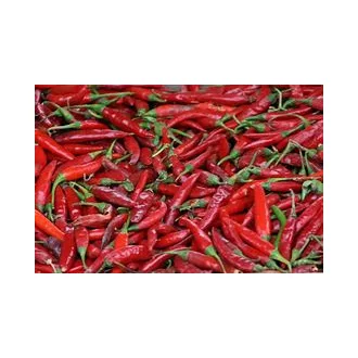 Chili  paprika Thai