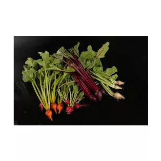 Bébi cékla   piros 200g