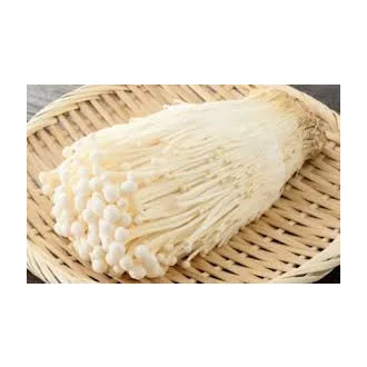 Gomba Enoki 100gr Korea