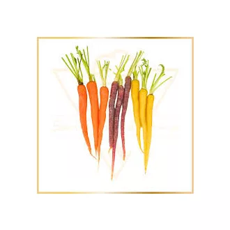 Bébirépa  színes 200g