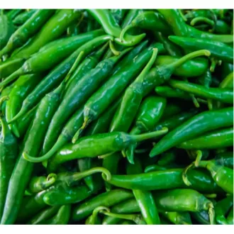 Chili paprika zöld Kenya