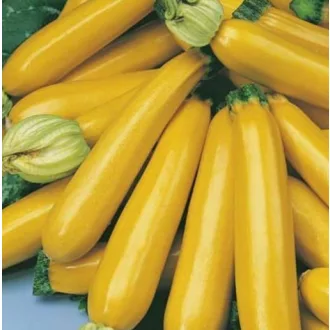Cukkini sárga Import