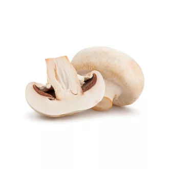 Gomba csiperke 500g Magyarország