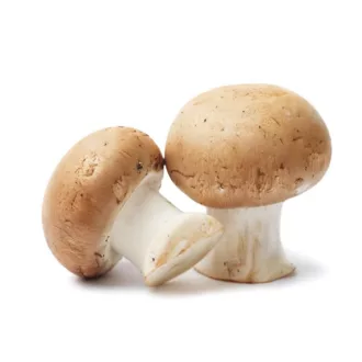 Gomba csiperke BARNA 500g Magyarország
