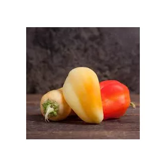 Lecsópaprika Magyarország