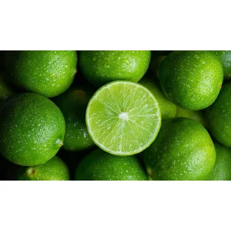 Lime  Brazilia 48"