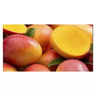 Mangó  Brazília Ready to Eat