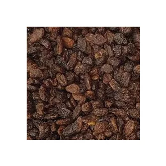 Mazsola