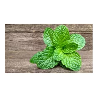 Menta  poli