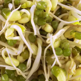 Mungóbabcsíra  250g