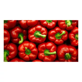 Paprika Kalif.  piros Hollandia