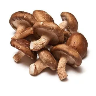Gomba shiitake 