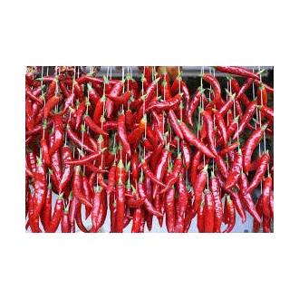 Szárított paprika fűzér