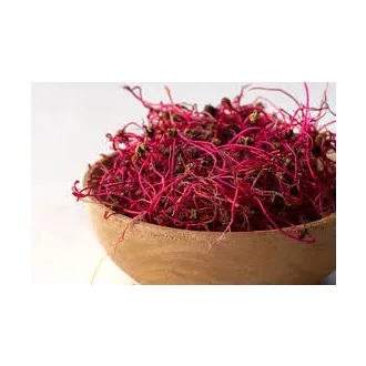 Cékla  csíra 40g