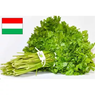 Petrezselyemzöld  (csomós) Magyarország 