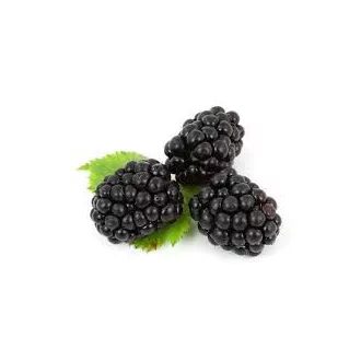 Szeder  125g  Hollandia