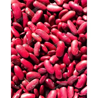 Chili bab (Kidney)