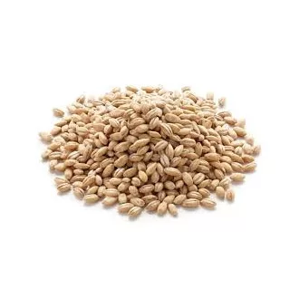 Quinoa