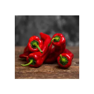 Bocskor paprika Spanyolország (palermo)