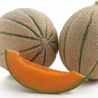 Sárgadinnye Cantaloop Dél-Amerika