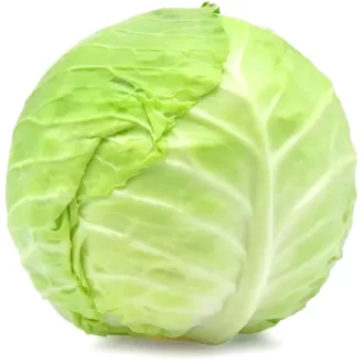 Fejes káposzta   Hollandia