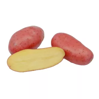 Burgonya kifli 2kg  Magyarország 