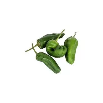 Paprika Padron