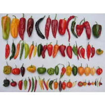 Paprika, chilli